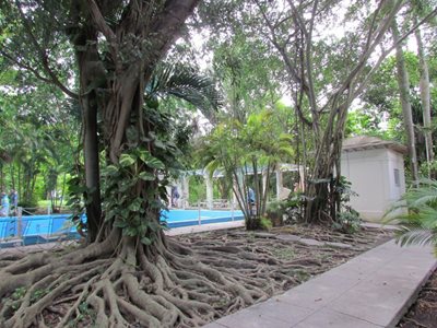 هاوانا-موزه-ارنست-همینگوی-Museo-Hemingway-254064