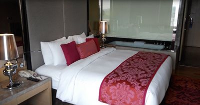 جیپور-هتل-رادیسون-بلو-جیپور-Radisson-Blu-Hotel-Jaipur-254383