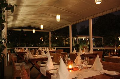 جیپور-رستوران-فورستا-The-Forresta-Restaurant-254648