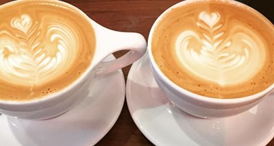 شیکاگو-کافه-روشنفکران-Intelligentsia-Coffee-254708