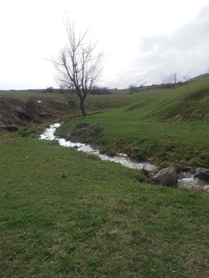 اردبیل-روستای-حسن-علی-کندی-256480