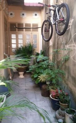 پینانگ-کافه-داس-راد-Das-Rad-Cafe-256832