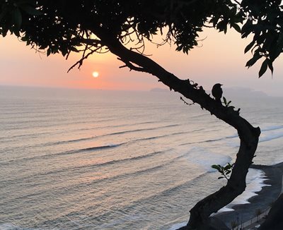 لیما-گردشگاه-مالکون-Malecon-257371