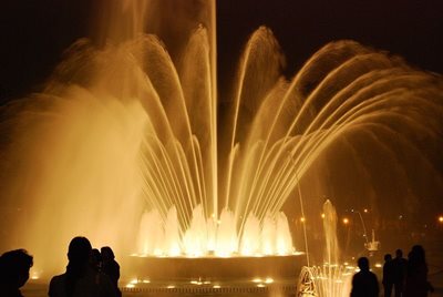 لیما-پارک-Park-of-the-Reserve-257479