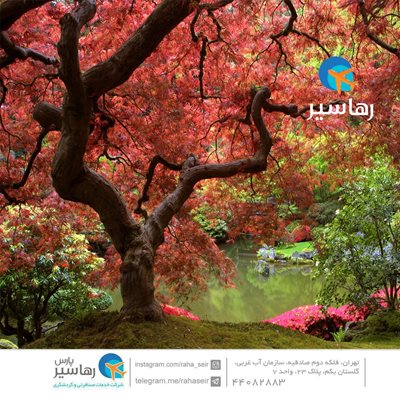 تهران-آژانس-رها-سیر-پارس-260251