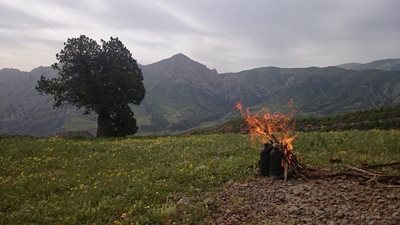 شهمیرزاد-ییلاق-اوپرت-260839