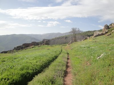 شهمیرزاد-ییلاق-اوپرت-260845
