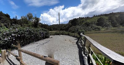 مدلین-پارک-جنگلی-Arvi-Park-261569