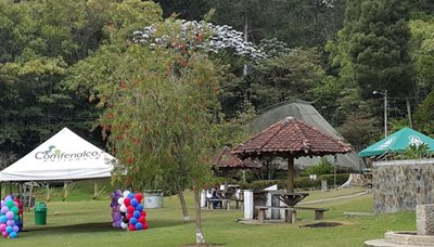 مدلین-پارک-جنگلی-Arvi-Park-261575