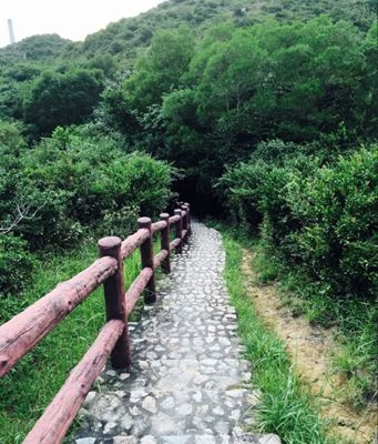 جزیره لاما Lamma Island