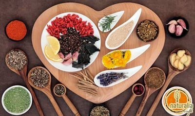 مدلین-کافه-Naturalia-Cafe-262732