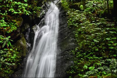 پارک ملی Shivapuri Nagarjun National Park