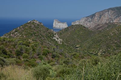 ساردینیا-جزیره-سنگی-Isolotto-Faraglione-del-Pan-di-Zucchero-263926