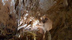 غار Grotta del Fico