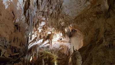 ساردینیا-غار-Grotta-del-Fico-264316
