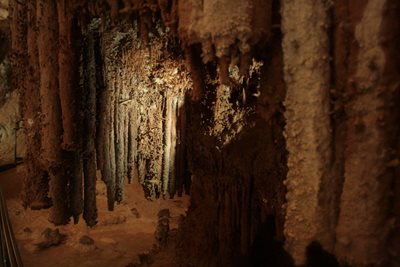 ساردینیا-غار-Grotta-del-Fico-264324