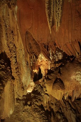 ساردینیا-غار-Grotta-del-Fico-264331