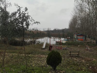ساری-بوستان-نیلوفر-آبی-265882