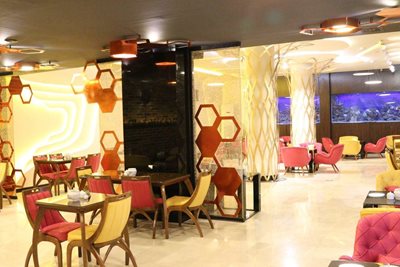 تهران-کافه-رستوران-داریس-265981