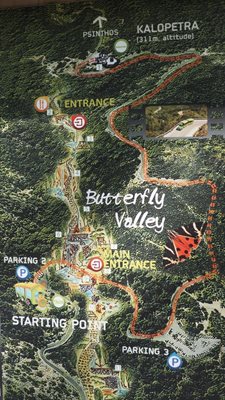 رودس-دره-پروانه-ها-Valley-of-the-Butterflies-267186