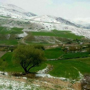 دورود-روستای-چمنار-267770
