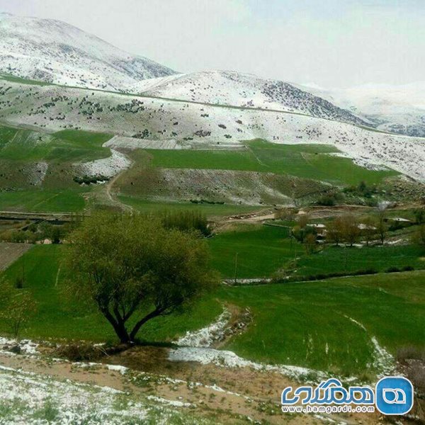 روستای چمنار