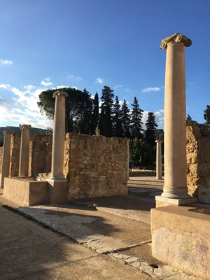 سیسیل-سایت-تاریخی-Villa-Romana-del-Casale-269430