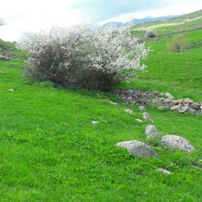 اردبیل-روستای-حسن-علی-کندی-269574