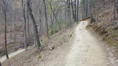 زاگرب-پارک-جنگلی-Medvednica-271412