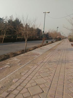 تهران-پارک-پردیسان-271784