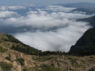 تهران-آژانس-سام-سیر-272535