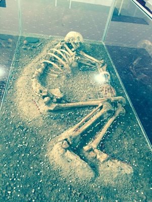 دوشنبه-موزه-ملی-تاجیکستان-National-Museum-of-Tajikistan-274104