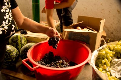 دوشنبه-بازار-Green-Bazaar-274599