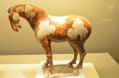 ژیان-موزه-ی-ابزاری-تاریخی-چین-Shaanxi-History-Museum-275131