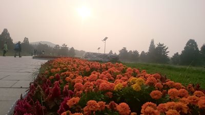 ژیان-آرامگاه-امپراتور-چین-شی-هوانگ-Tomb-of-Emperor-Jingdi-Hanyangling-275948