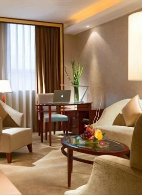 ژیان-هتل-Grand-Mercure-Xian-on-Renmin-Square-276535