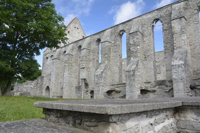 تالین-صومعه-Convent-of-St-Bridget-Pirita-Klooster-278278