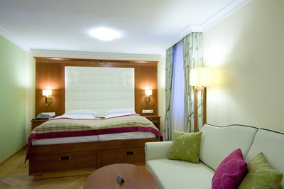 سالزبورگ-هتل-Hotel-Elefant-278338