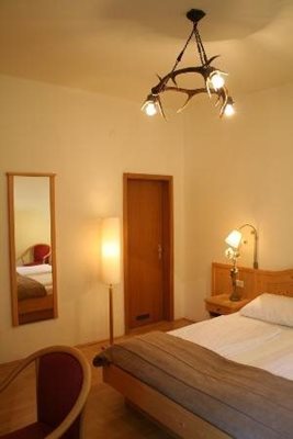 سالزبورگ-هتل-Pension-Adlerhof-278525