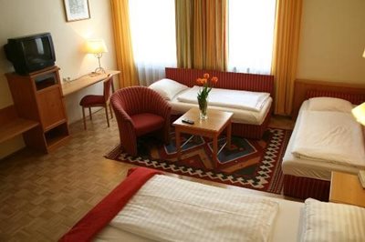 سالزبورگ-هتل-Pension-Adlerhof-278532