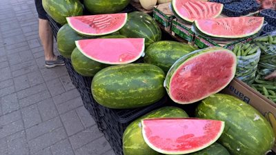 تالین-بازار-Nomme-Market-279482