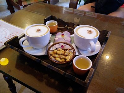 چیانگ-مای-کافه-تانیتا-Tanita-Coffee-House-279898