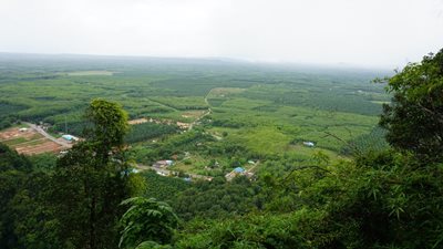 کرابی-جنگل-Tab-Kak-Hang-Nak-Hill-Nature-Trail-280761