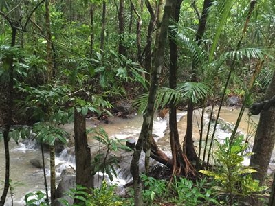 کرابی-جنگل-Tab-Kak-Hang-Nak-Hill-Nature-Trail-280762