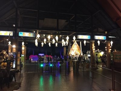 باغ وحش نایت سافاری چیانگ مای Chiang Mai Night Safari