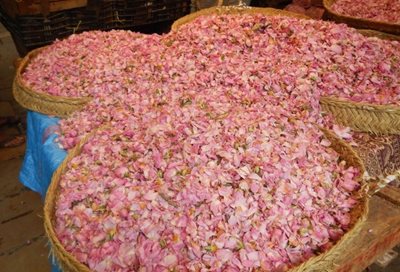 فاس-بازار-حنا-Souk-el-Henna-282354