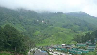 پینانگ-ارتفاعات-کامرون-Cameron-Highlands-282398