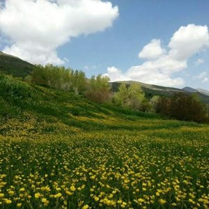 مرند-روستای-هاوستین-282443