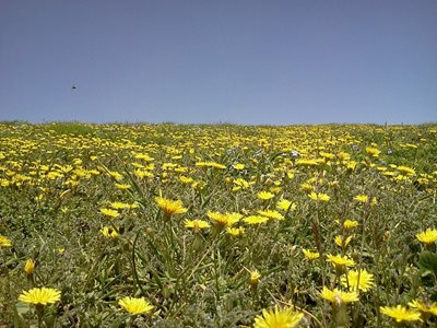 رامسر-روستای-نمکدره-282466