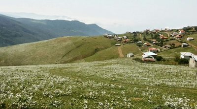 رودسر-روستای-جواهردشت-282704